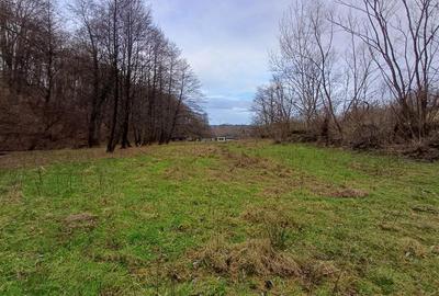 Resita, Teren Drept Intravilan, Langa Prau si Drum, Parcelabil, 4500 Mp., 15 Eur - 4
