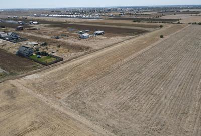 Teren Intravilan Com Berceni | utilitati: curent - gaz | #MG14E - 8