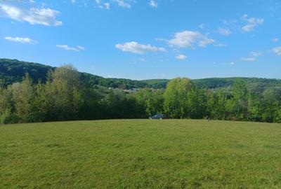Teren extravilan Bradu - zona cu panorama superba - 6
