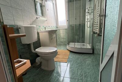 De inchiriat Apartament 2camere, zona Tudor Vladimirescu-Iulius Mall - 10