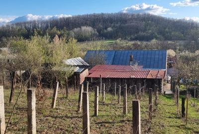 Casă P+M cu 1.558 mp teren, livadă și garaj | Barza, Gorj Comision 0% - 15