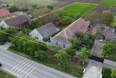 Gospodarie de vanzare in Giulvaz, judetul Timis - 1