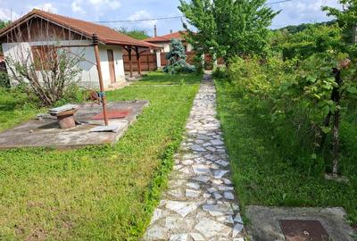 Inchiriez Snagov  casa 4 camere langa padure si aproape de lac - 4