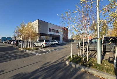 Hala plus spatiu birouri, zona Strada Vrancei - 1
