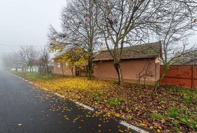 De vânzare Casă cu Grădină Generoasă in Dorobanți - 1