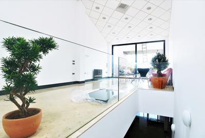 Cladire individuala - spatii open space - 7