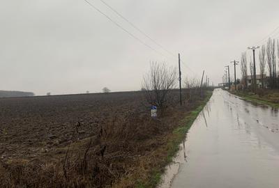 Petrechioaia  Vanzare  Teren Extravilan  Suprafata Compacta 35 000mp - 1