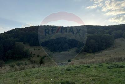 TEREN EXCLUSIV PENTRU INVESTIȚIE ÎN ZONĂ DE AGREMENT – BRAȘOV, DN 1E - 4
