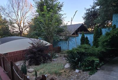 Moreni , Dambovita , vanzare proprietate -casa si teren - 19