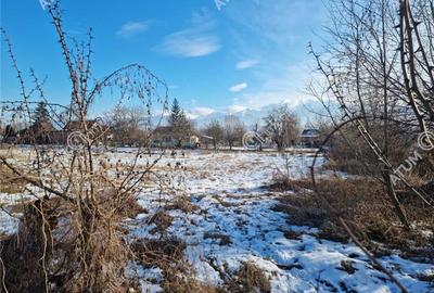 Teren intravilan 3021 mp in zona Avrig din Sibiu - 2