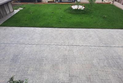 FARA COMISION casa 4 camere 2 bucatarii 2 puturi beci livada 1500mp SAU 3300mp - 38