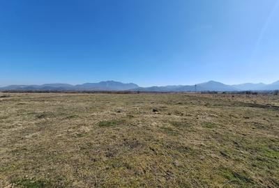 Teren Rasnov spre Bran pretabil investitie 4 euro/mp - 4