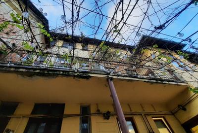 REV0017192 Piata Victoriei - VIla interbelica cu gradina - 7