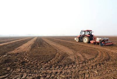 Ferma de Cultura Mare 1100 HA - 2