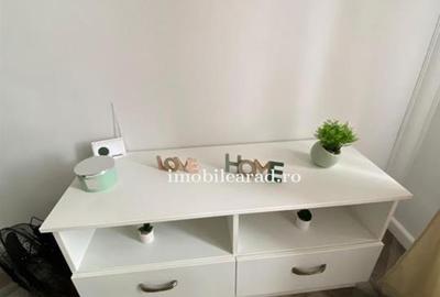 Apartament 60 Euro pe zi, amenajat in stil unic langa Primaria Arad - 3