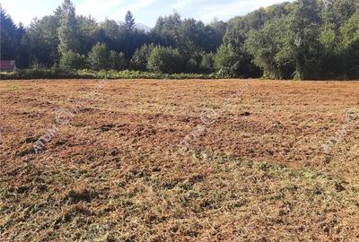 Teren intravilan de vanzare 1856 mp in Avrig zona Valea Avrigului - 5