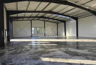 Spatiu Industrial - Gilau - Constructie Noua - 3