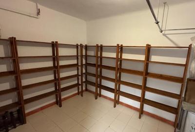 Inchiriere apartament 150mp  in vila Primaverii - 13