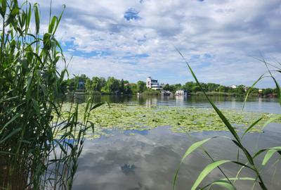 Casă individuală cu 6 camere în Snagov