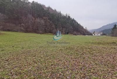 Teren Straja – Pangarati 3560 m, zona de Pensiune - 11