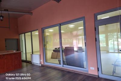VANZARE CASA OASPETI + ANEXE IN  SAT TEISORI (JUD. GIURGIU) - 34