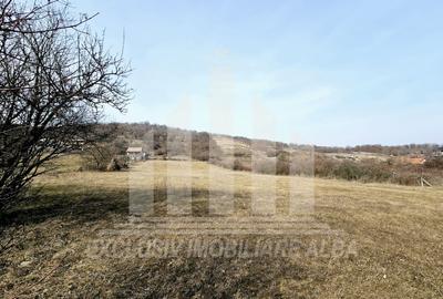 Teren intravilan | 14000 mp | 35 ml deschidere | Valea Popii - 4