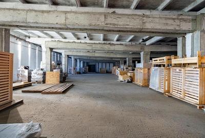Spatii de depozitare, infrastructura potrivita pentru dezvoltarea afacerii tale - 19