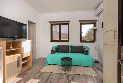 VILA INTERBELICA DE 550 MP-FOISORUL DE FOC - 21