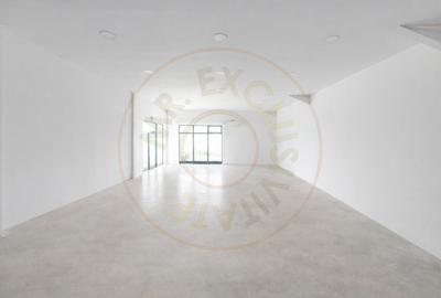 Hala industriala / spatiu comercial – VANZARE – DN 65B – Bradu-Pitesti! - 9