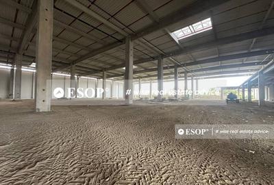 Olympian Park Bucharest, spatii industriale Clasa A, 1800 - 18660mp - 3