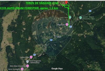 Vânzare teren extravilan, 4 ha pădure, zona turistică Liban, Harghita - 7