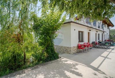 Complex cu Piscină/Cazare de Vânzare, 10.777mp Teren - DN24, Vaslui - 9