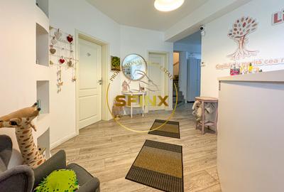 Casa 9 camere | Drumul Sarii | curte libera 300mp - 9