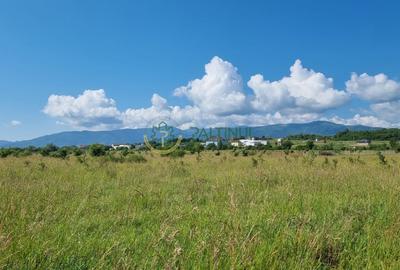 Teren de vânzare în Calea Cisnădiei, Sibiu – 550 mp, PUZ aprobat, vedere superbă - 5