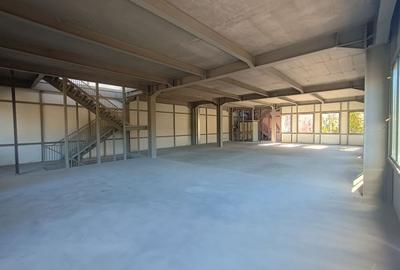 Spatiu intens circulat 250/750 mp - 3