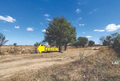 Vanzare teren 4400 mp Snagov - Gruiu, cu deschidere la lacul Snagov - 8