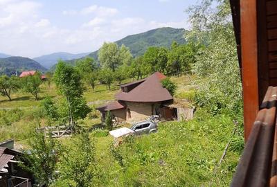 Proprietate pe Valea Vâlsanului – Cabane din lemn + Casă ecologică COB - 5