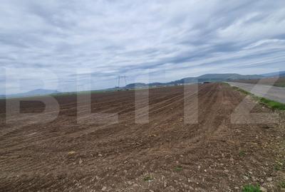 Teren agricol extravilan de 18300 mp, în Hărman