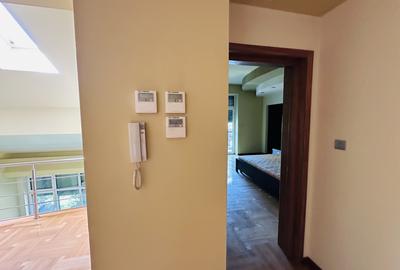 SUPER PROPIETATE LA PADURE ROSU, vila superba 709 mp, 1213 mp teren, piscina ! - 20