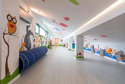 Vila, design ambitios, spatii luminoase in conexiune cu natura - 43