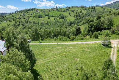 Teren intravilan 1000 mp in satul Pestera, Comuna Moieciu la 12 km de Bran - 6