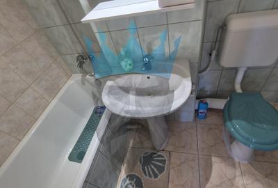 Apartament 2 Camere Nicolae Grigorescu Bucuresti - 14