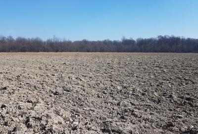 REL4001203 Oportunitate I Teren Intravilan 30.000 mp I Racari I Dambovita - 4