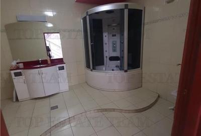 Tineretului-vila individuala aproape  de metrou si parc --pozitie excelenta - 21