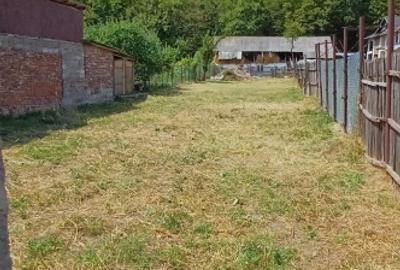 Casă cu potențial excepțional în Budeasa – la 10 minute de Pitești - 3