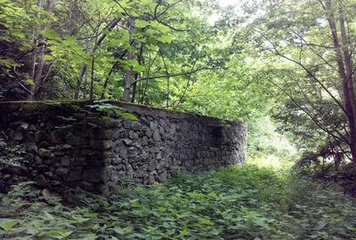 Proprietate rară în inima Retezatului – 5.700 mp teren intravilan - 14
