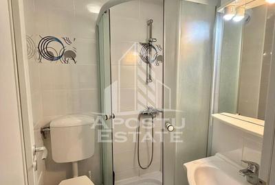 Apartament cu 1 camera, de inchiriat, zona Olimpia Stadion, Timisoara - 4