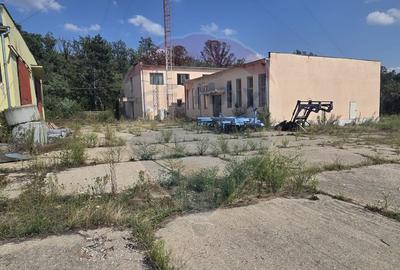Spațiu industrial 15435 mp. de vânzare in Tinca. - 9
