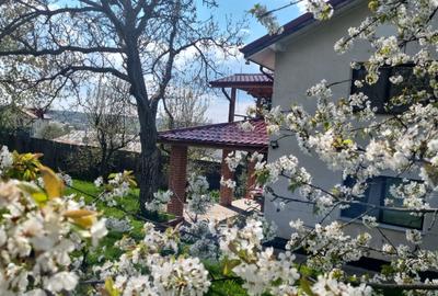 Casă de vânzare în Bucium Iași - 2