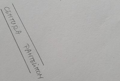 Teren Construcții intravilan de 30000 mp, în Pantelimon